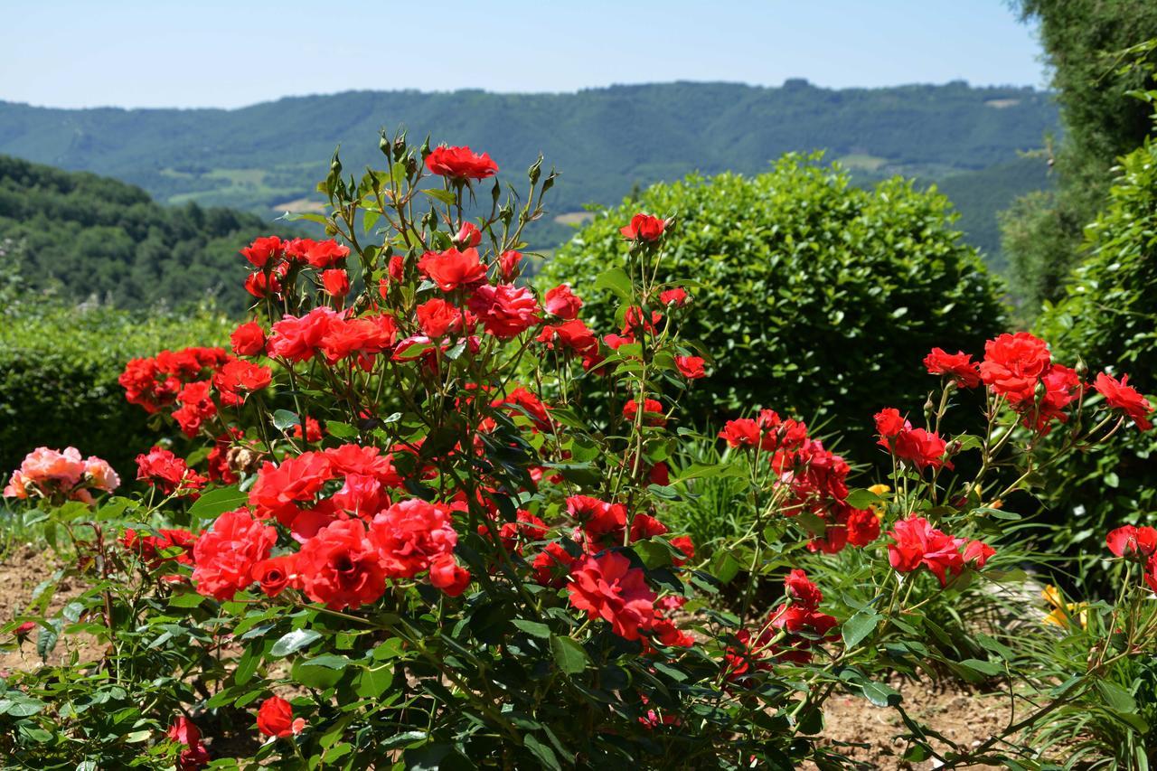 Maison d'hôtes Il Poggiolo Di Parrano Extérieur photo